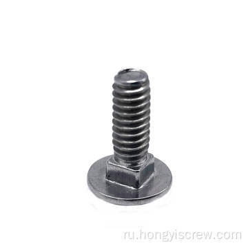 Круглая голова квадратная шея SS Carriage Bolt